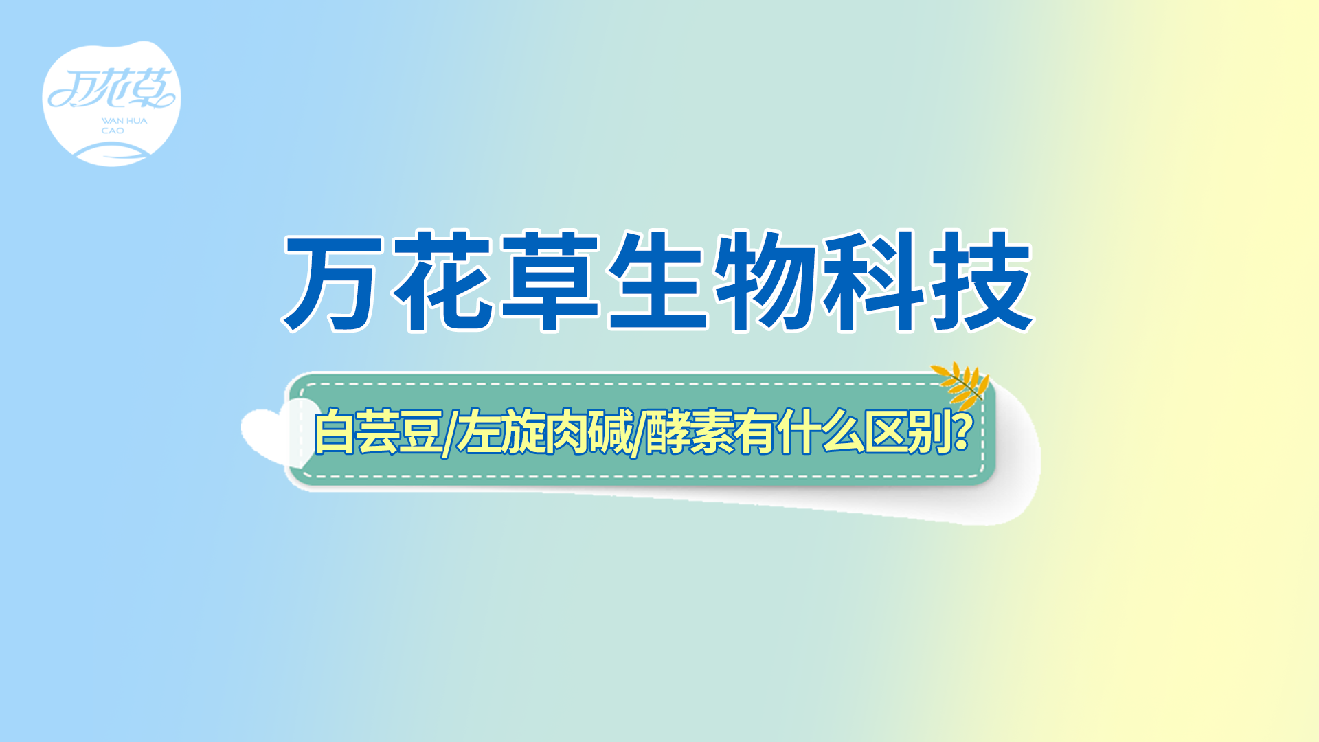 白蕓豆、左旋肉堿、嗨吃酵素有什么區(qū)別？