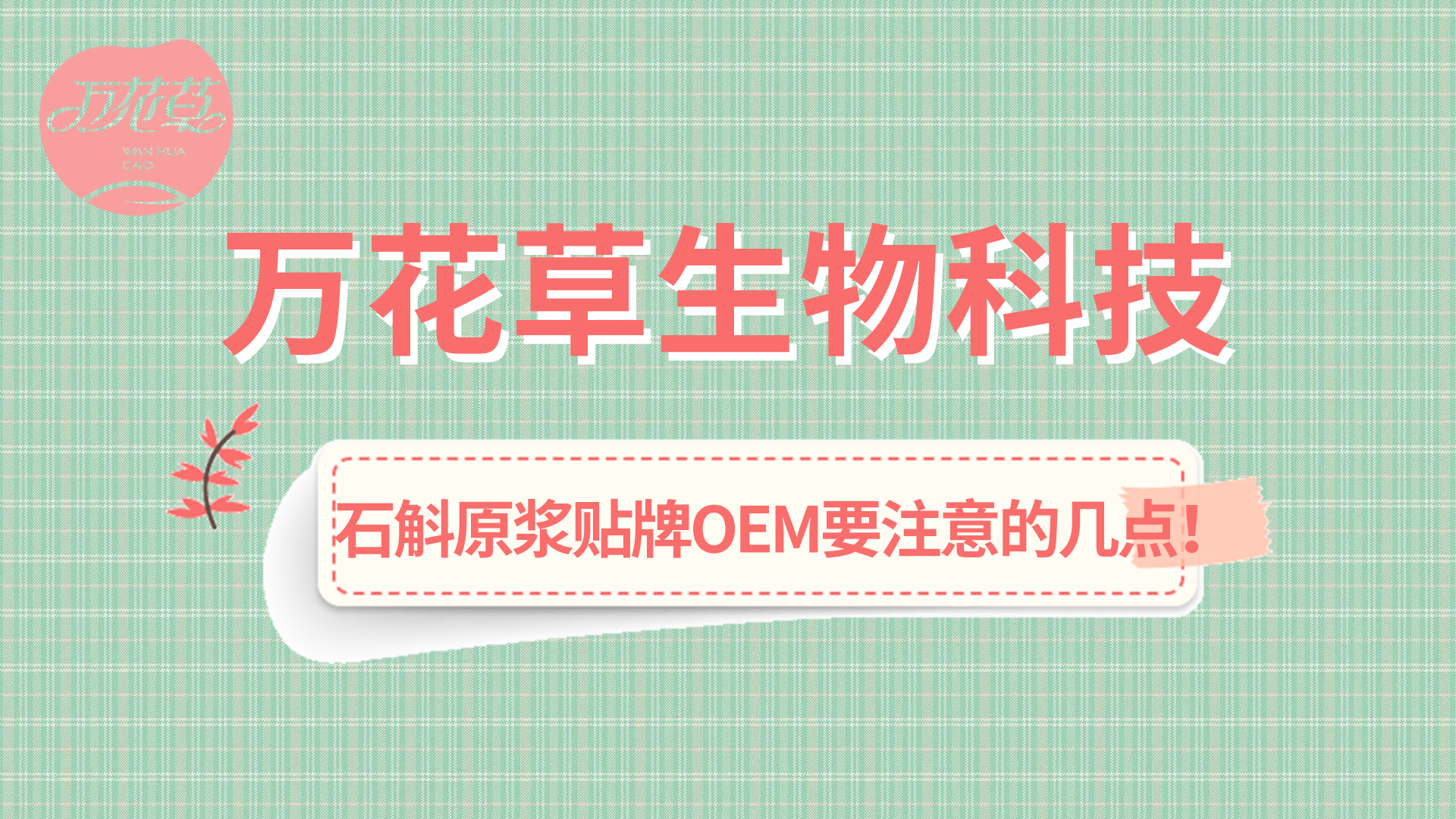 石斛原漿貼牌oem您需要注意哪幾點？